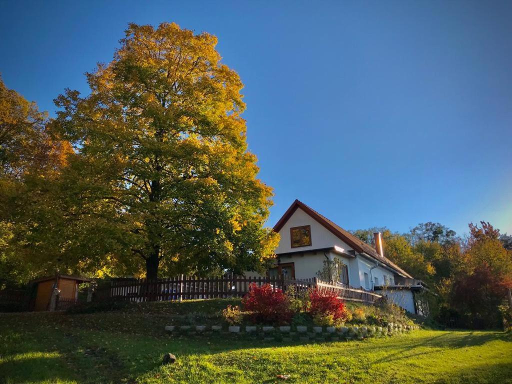 Ferienhaus Koller Gussing Exterior photo